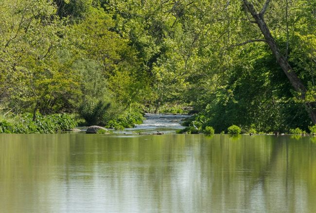 Water view with a heavily wooded area | Image 25