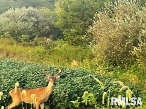 0000 Campbells Corner Rd, Mc Leansboro, IL, 62859 | Card Image