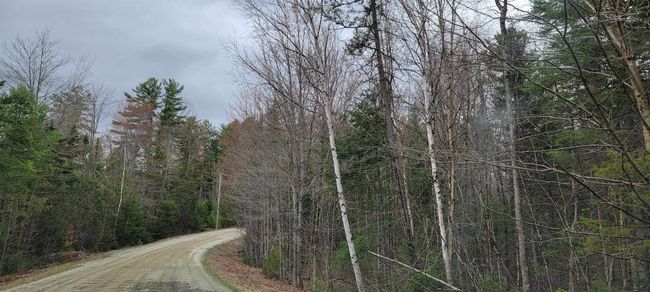 Lot 12 Mirror Lake Estates Dr, Home with 0 bedrooms, 0 bathrooms and null parking in Whitefield NH | Image 19