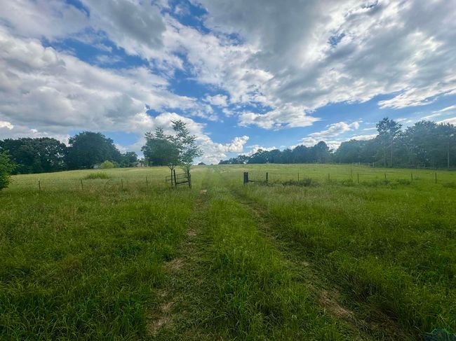 TBD 2174 Tbd 2174, Home with 0 bedrooms, 0 bathrooms and null parking in Tatum TX | Image 13