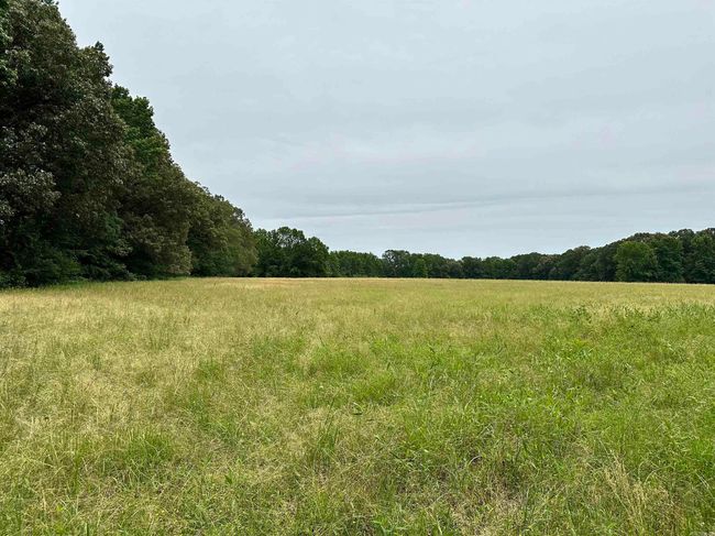 000 Oak Dale Rd, Home with 0 bedrooms, 0 bathrooms and null parking in Lonoke AR | Image 12