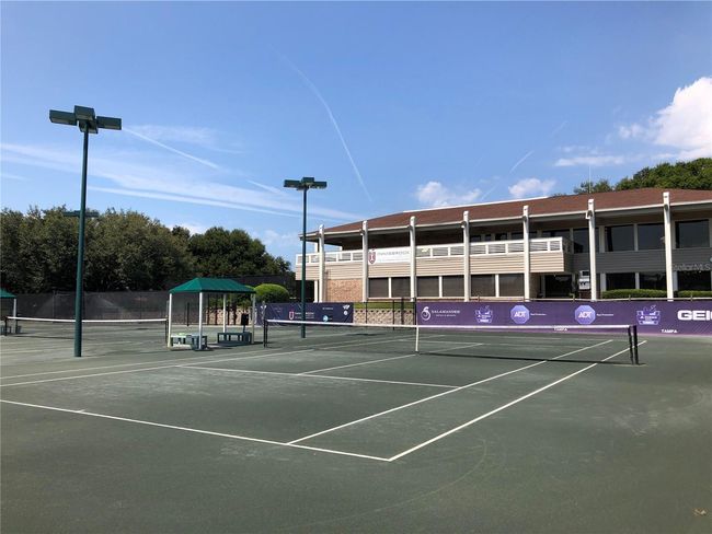 09110 - 36750 Us Highway 19 N, Condo with 1 bedrooms, 10 bathrooms and null parking in PALM HARBOR FL | Image 45