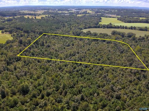 Lot 5 New Harmony Rd, Arab, AL, 35016 | Card Image
