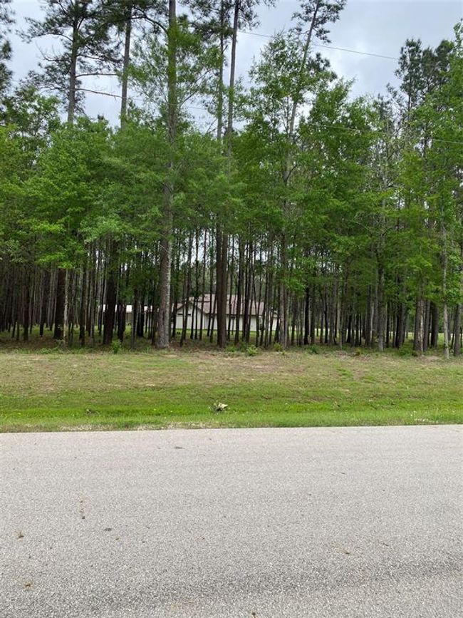 0 Sandpiper Dr, Home with 0 bedrooms, 0 bathrooms and null parking in New Waverly TX | Image 4