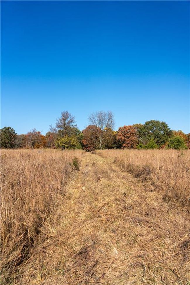 11999 - 11201-11999 Se 700 Rd, Home with 0 bedrooms, 0 bathrooms and null parking in Weaubleau MO | Image 7