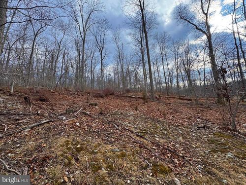 50 N River Mills Rd, CAPON BRIDGE, WV, 26711 | Card Image