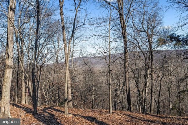 LOT 4 Back Creek Rd, Home with 0 bedrooms, 0 bathrooms and null parking in GORE VA | Image 10