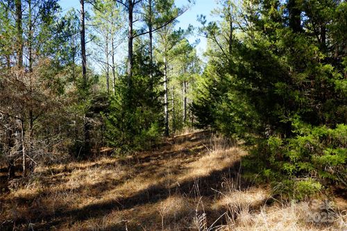 6+/- AC LOT 2 Skyline Drive, chester, SC, 29706 | Card Image