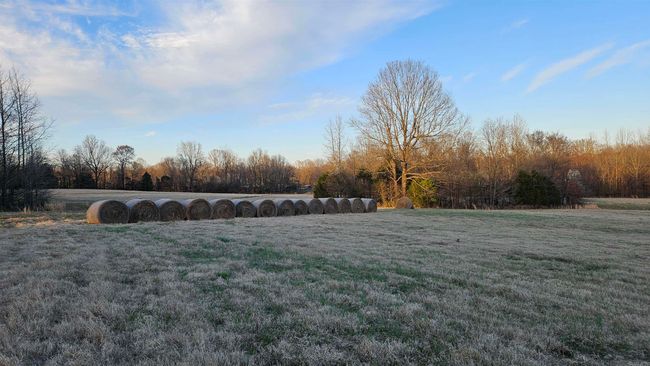 299 County Road 417, House other with 4 bedrooms, 4 bathrooms and null parking in Rector AR | Image 28