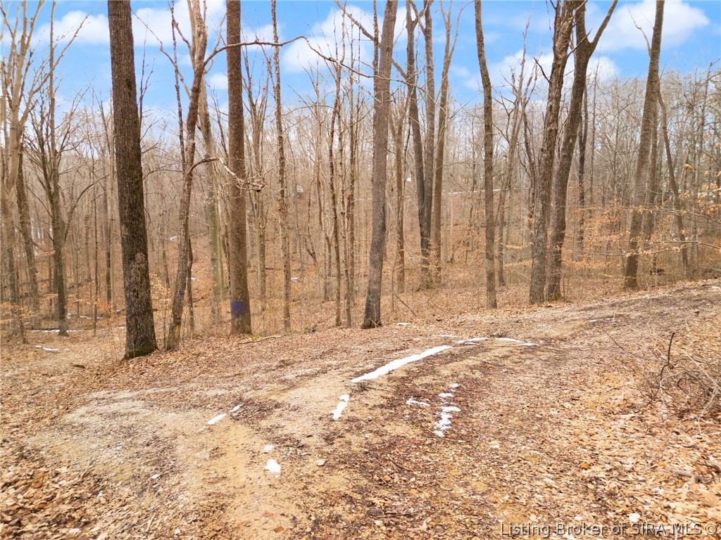 Land in Paoli
