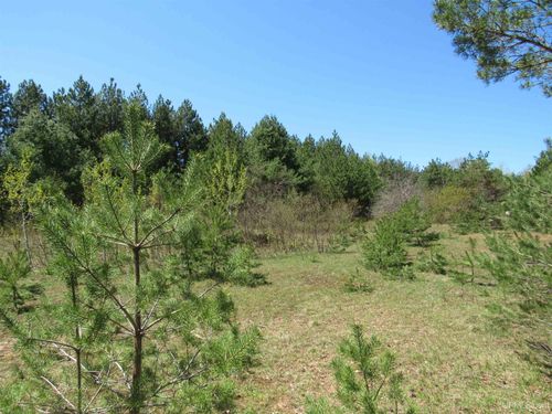 40 Acres Off Snowmobile Trail 133 Trail, Mohawk, MI, 49950 | Card Image