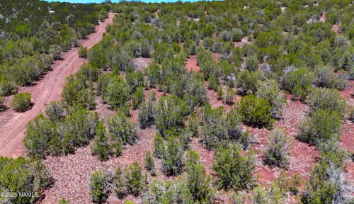 3847 W Bench Rd, Williams, AZ, 86046 | Card Image