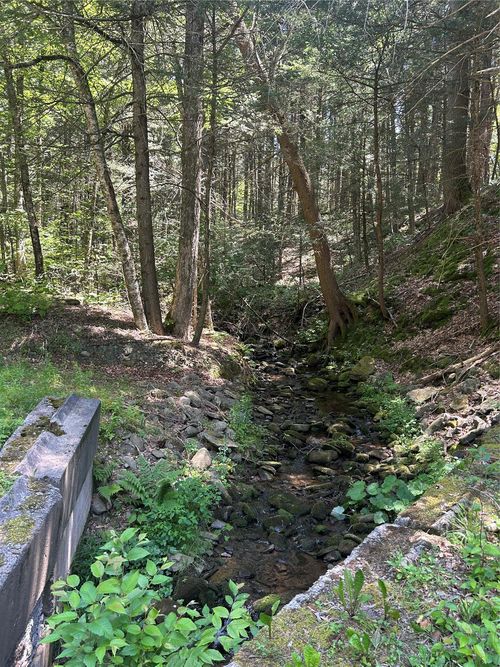 TBD Ahrens Rd, Parksville, NY, 12768 | Card Image