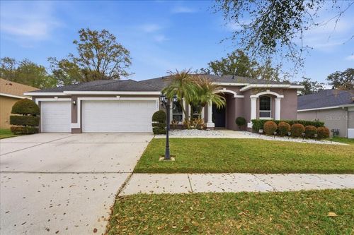 1007 Split Silk St, VALRICO, FL, 33594-4534 | Card Image