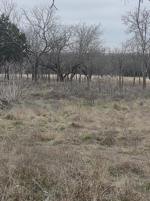 138 Private Road 226, Whitney, TX, 76692-5097 | Card Image