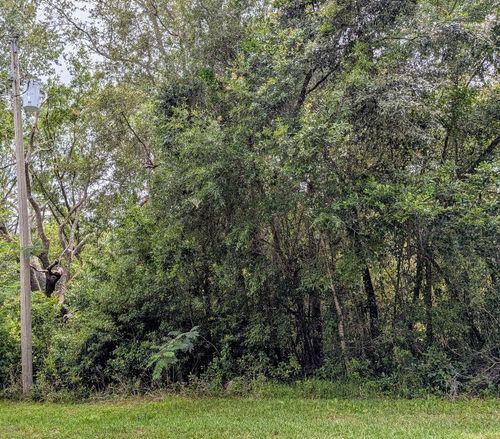 8970 N Joann Dr, CITRUS SPRINGS, FL, 34434-4971 | Card Image