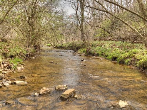 Lt 54-56 Black Gum Ln, Blue Ridge, GA, 30513 | Card Image