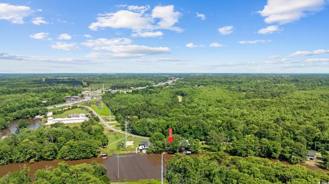 Aerial view of a forest | Image 36