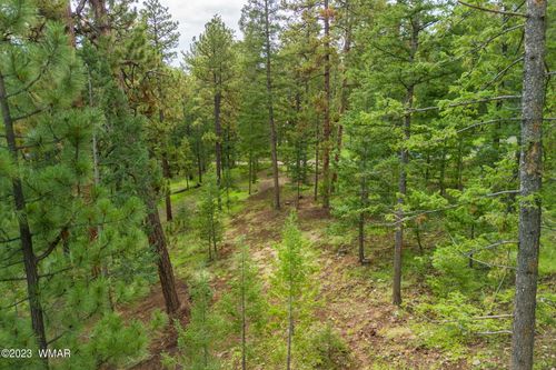 29 N1068, Greer, AZ, 85927 | Card Image