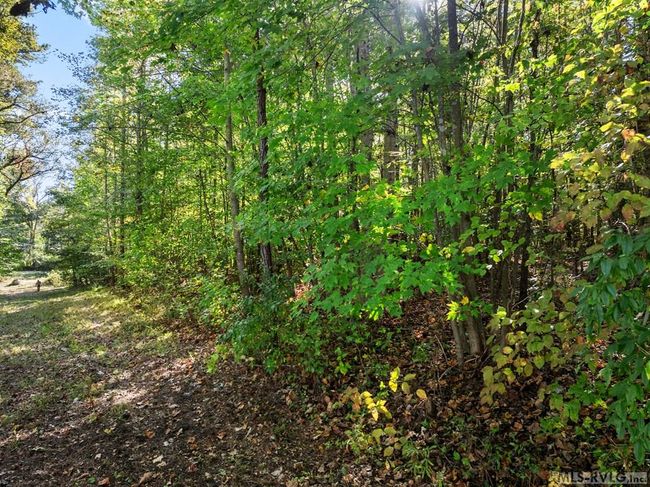 000 2 Nd Ave, Home with 0 bedrooms, 0 bathrooms and null parking in Lawrenceville VA | Image 11