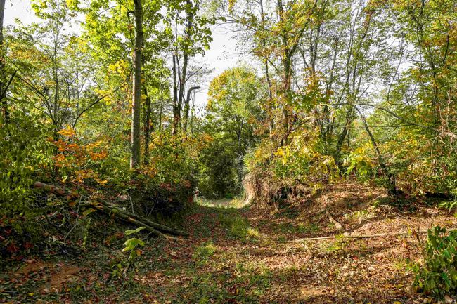 0 N Old State Road 25, Home with 0 bedrooms, 0 bathrooms and null parking in Delphi IN | Image 9