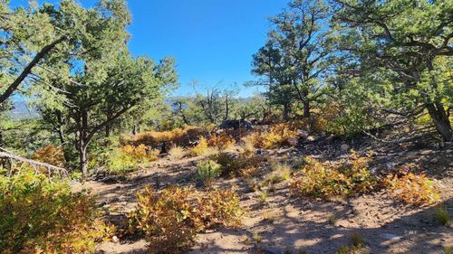 TBD L 42nd Trail, Cotopaxi, CO, 81223 | Card Image