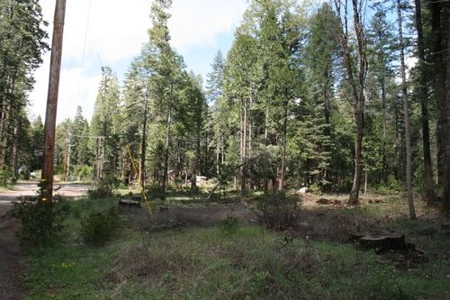 Lot 22 Eastwood Way, Shingletown, CA, 96088 | Card Image