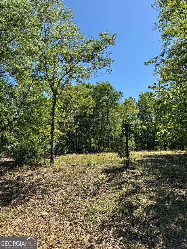 101 Ridge Dr, House other with 4 bedrooms, 5 bathrooms and null parking in Claxton GA | Image 42
