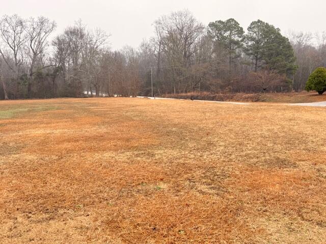 Land in Sumter 2