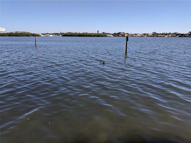 Watch the manatees from the seawall | Image 20
