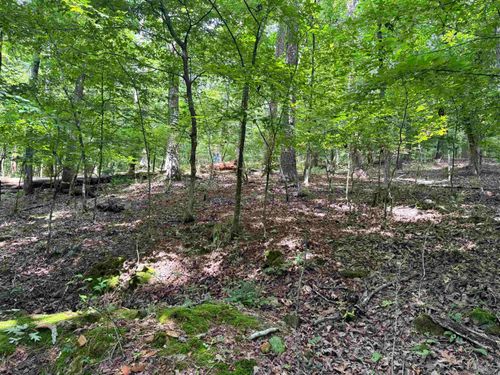 100 Arjona Way, Hot Springs Village, AR, 71909-7647 | Card Image