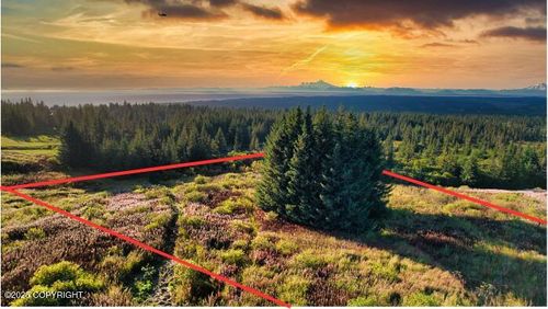 Tract 5 Tice Acres Sub, Homer, AK, 99603 | Card Image