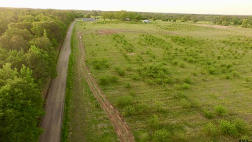Lot 8 County Road 4230, Pittsburg, TX, 75686-4503 | Card Image