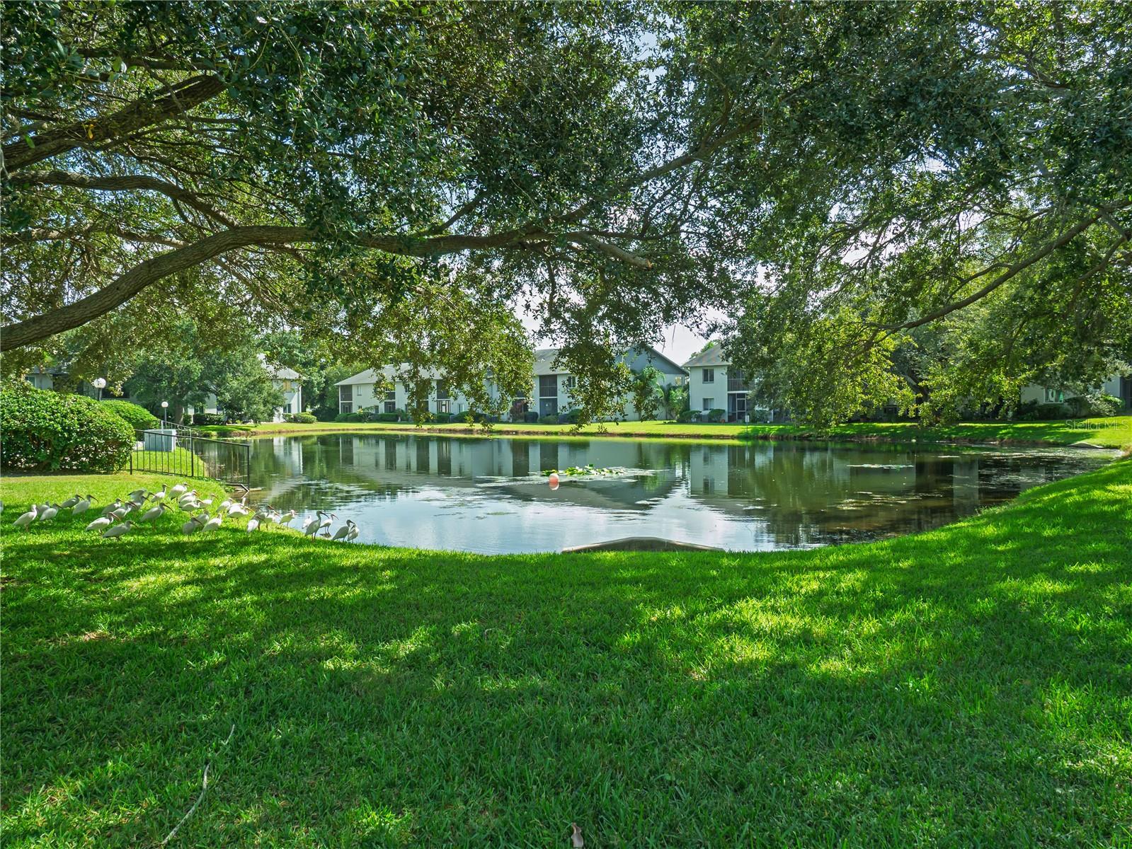 Residential in LARGO 4