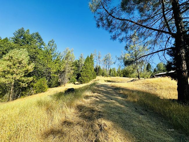Trail To Creek | Image 27