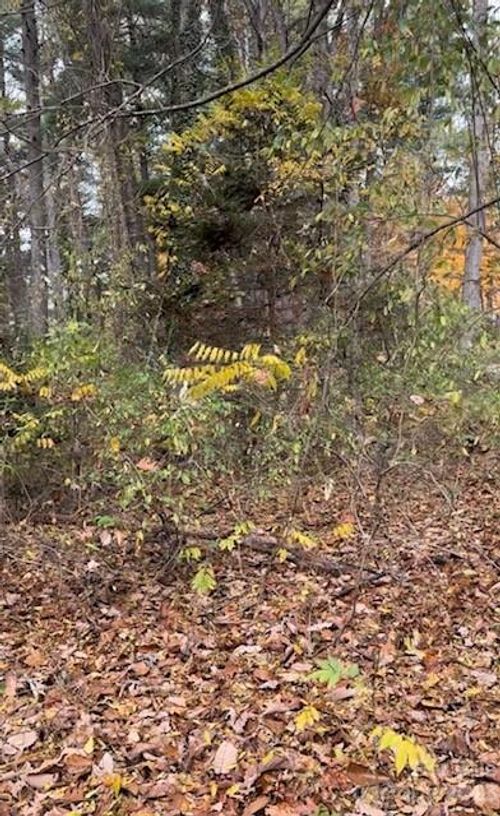 332 Vanderbilt Road, Biltmore Forest, NC, 28803 | Card Image