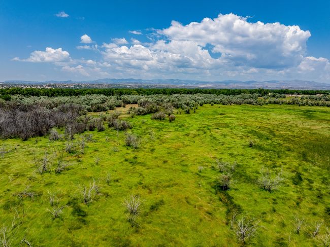 7 Sparkling Moolah, Home with 0 bedrooms, 0 bathrooms and null parking in Pena Blanca NM | Image 12