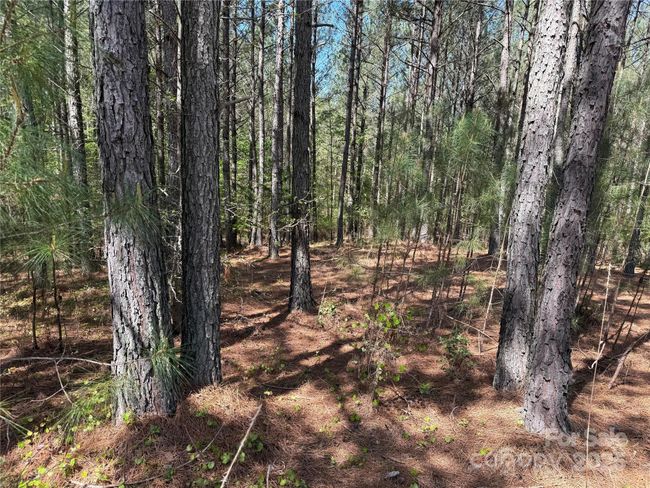 108 Whispering Pines Ln, Home with 0 bedrooms, 0 bathrooms and null parking in Mooresboro NC | Image 6