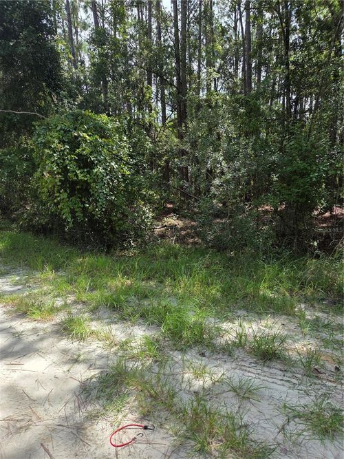 100 Palmetto Ln, Georgetown, FL, 32139 | Card Image