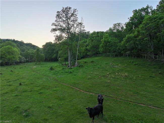 1440 Webb Mountain Rd, Home with 0 bedrooms, 0 bathrooms and null parking in Boones Mill VA | Image 26