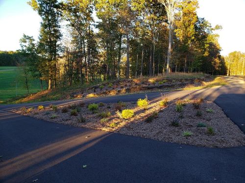 TBD Crestview Mountain Dr Lot 45, Sparta, NC, 28675 | Card Image