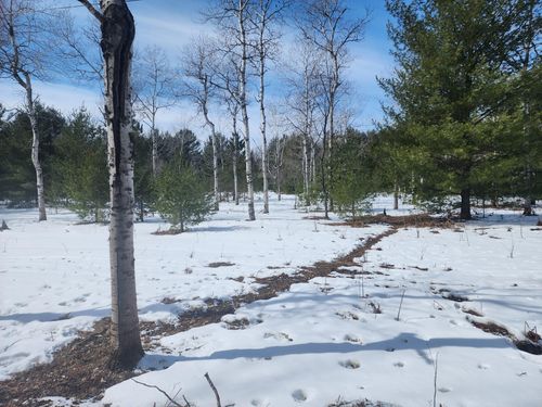 000 Hall Creek Road, Interlochen, MI, 49643 | Card Image