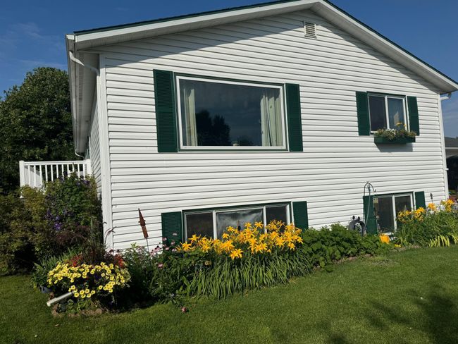 Landscaping | Image 46
