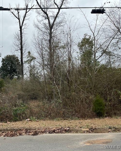 0 34th Ave E, Tuscaloosa, AL, 35404 | Card Image