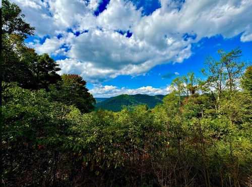TBD Webster Rd, Webster Springs, WV, 26288 | Card Image