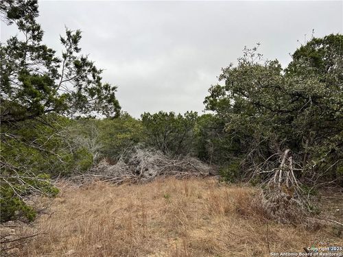 713 Stagecoach Trl, Spring Branch, TX, 78070-3891 | Card Image