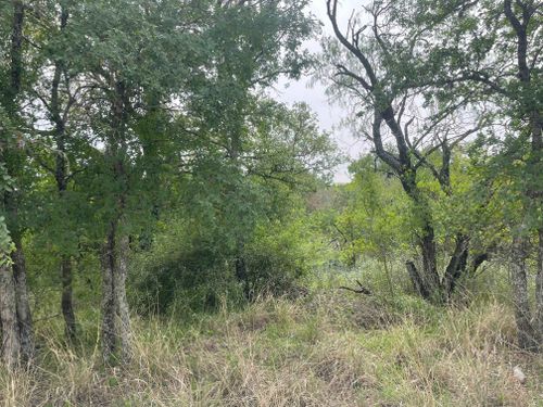 Lots 175 & 176 Hill Wood, Granite Shoals, TX, 78654 | Card Image
