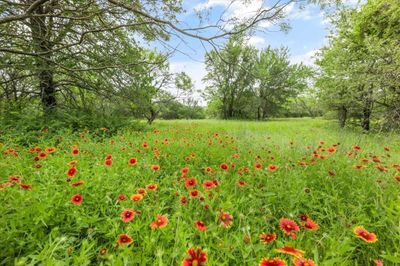 400 County Road 1744, Home with 0 bedrooms, 0 bathrooms and null parking in Chico TX | Image 2