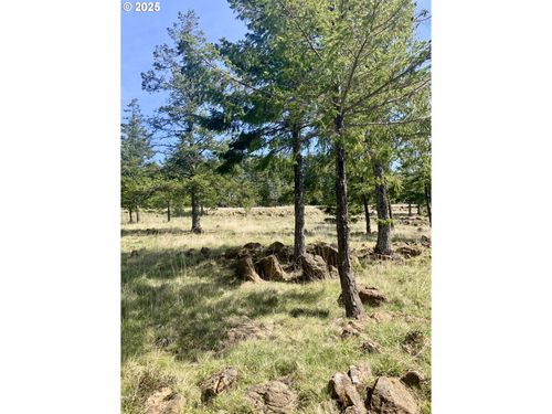 95645 Spirit Ridge Rd, Gold Beach, OR, 97444-8542 | Card Image