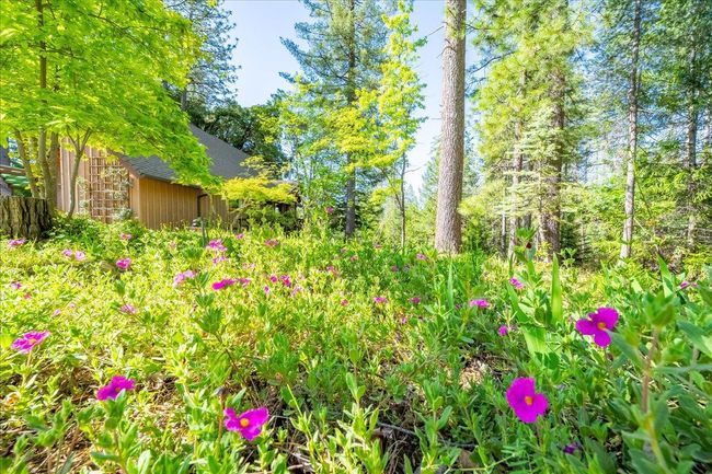 7250 Mount Oak Ln, House other with 2 bedrooms, 2 bathrooms and null parking in Georgetown CA | Image 13